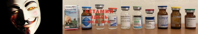 трава Абинск